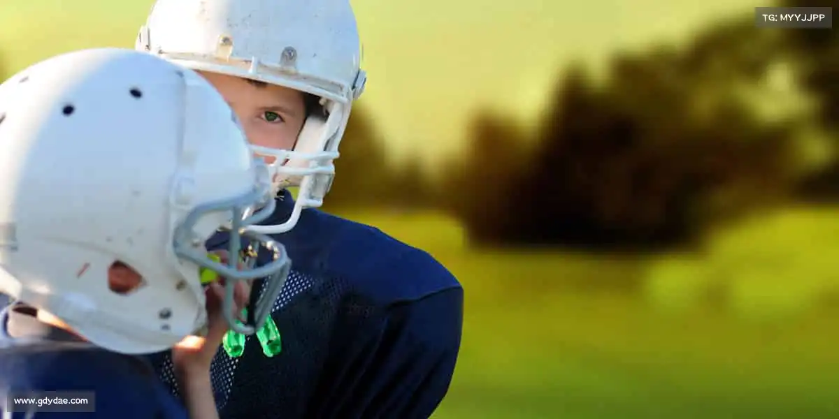 为什么选择我们